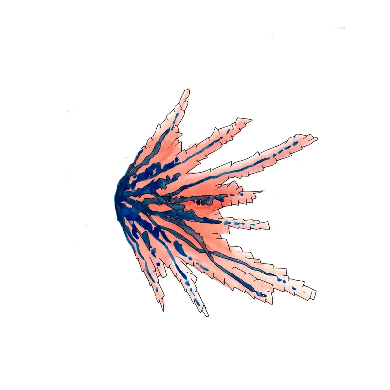 WATERCOLORS_1 — plate 02
