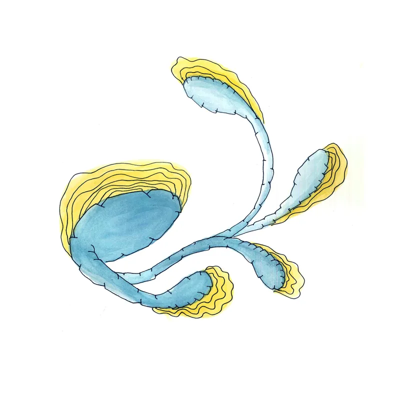 WATERCOLORS_1 — plate 03
