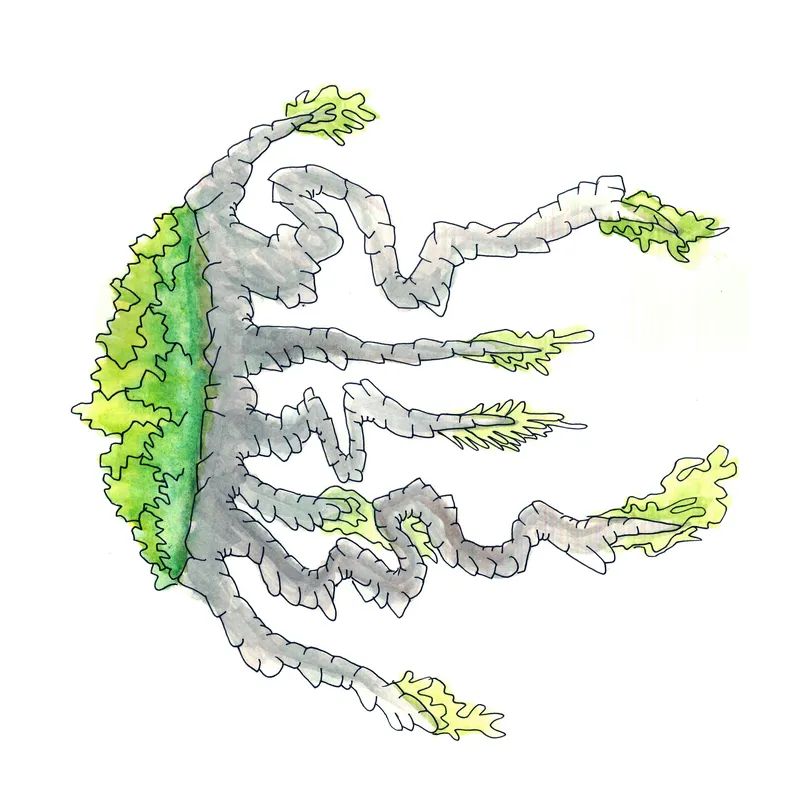WATERCOLORS_1 — plate 04