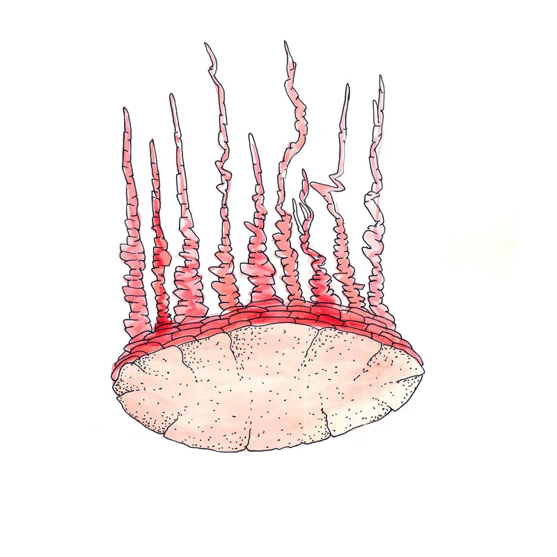 WATERCOLORS_1 — plate 05
