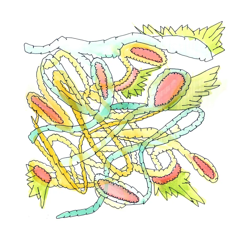 WATERCOLORS_1 — plate 06