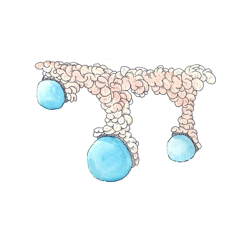 WATERCOLORS_1 — plate 07