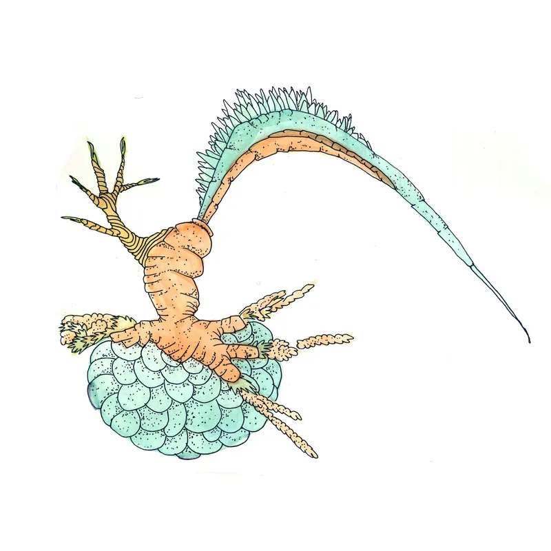 WATERCOLORS_1 — plate 10