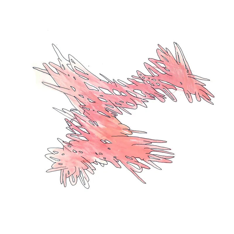 WATERCOLORS_1 — plate 14