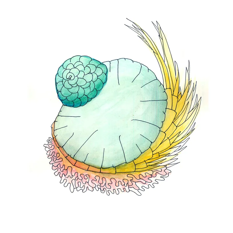 WATERCOLORS_1 — plate 15
