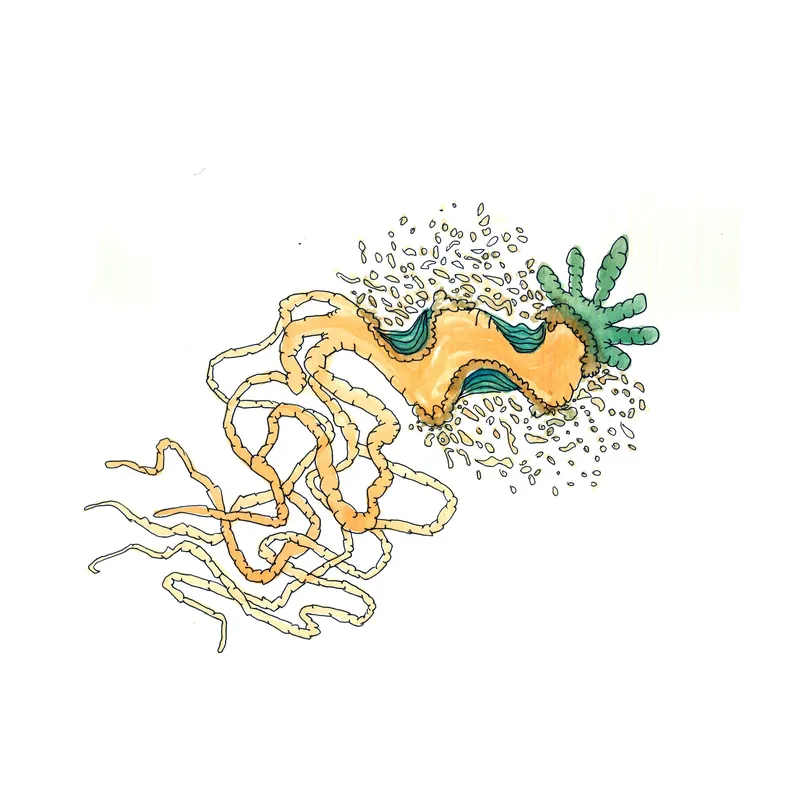 WATERCOLORS_1 — plate 16