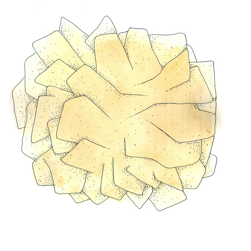 WATERCOLORS_1 — plate 17