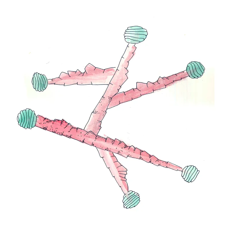 WATERCOLORS_1 — plate 18