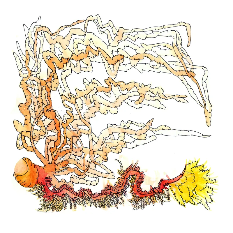 WATERCOLORS_1 — plate 22