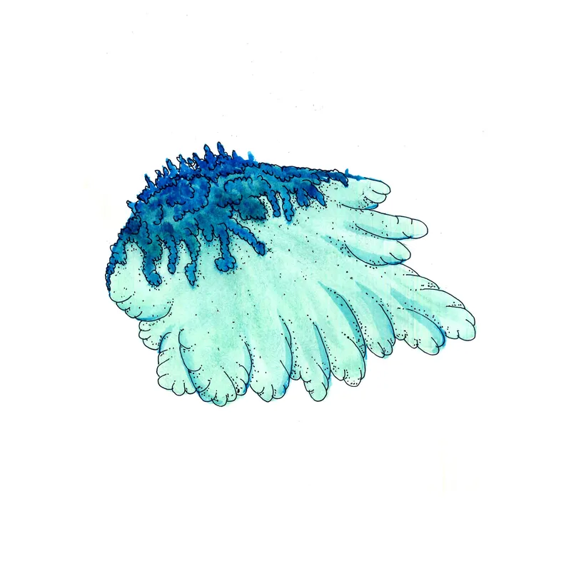 WATERCOLORS_1 — plate 23