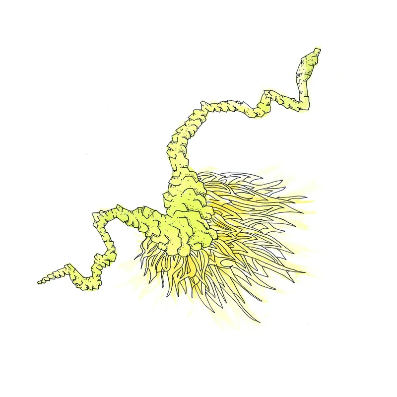 WATERCOLORS_1 — plate 24
