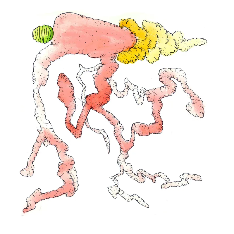 WATERCOLORS_1 — plate 30