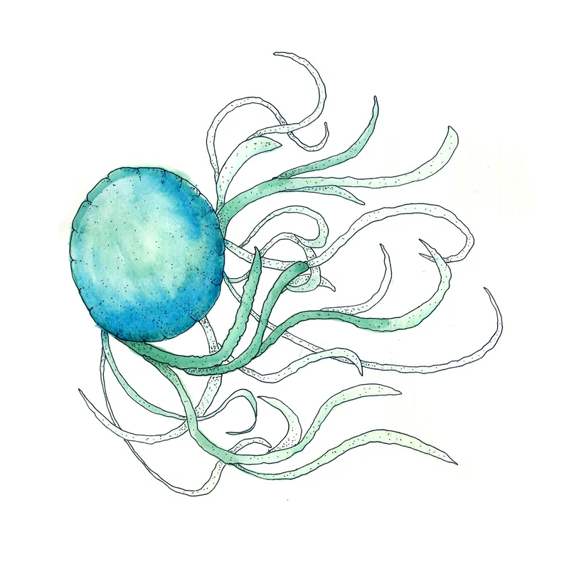 WATERCOLORS_1 — plate 31