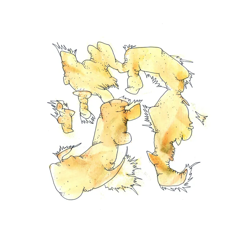 WATERCOLORS_1 — plate 32
