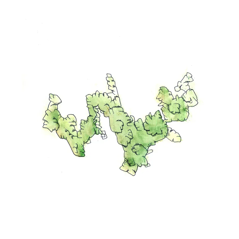 WATERCOLORS_1 — plate 33