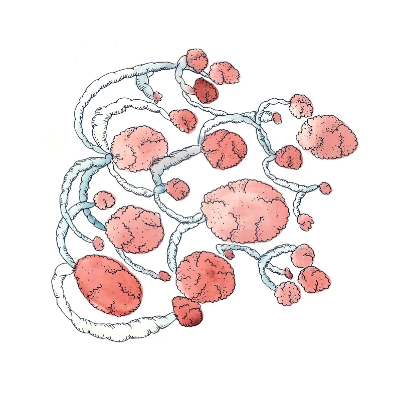 WATERCOLORS_1 — plate 35