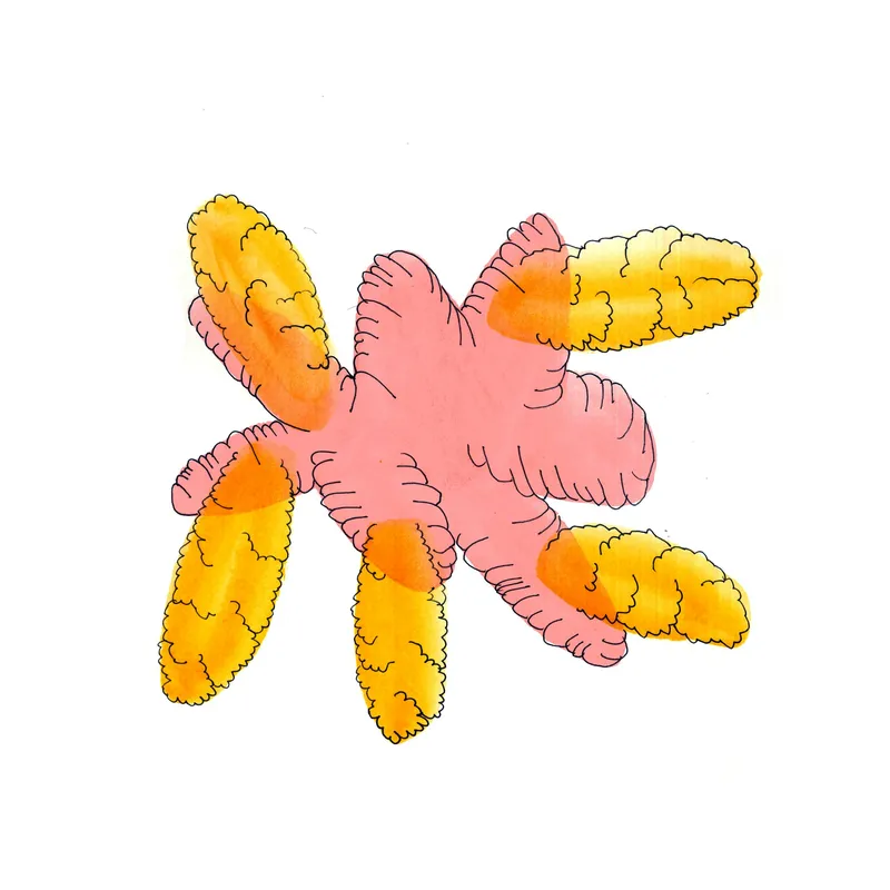 WATERCOLORS_1 — plate 38