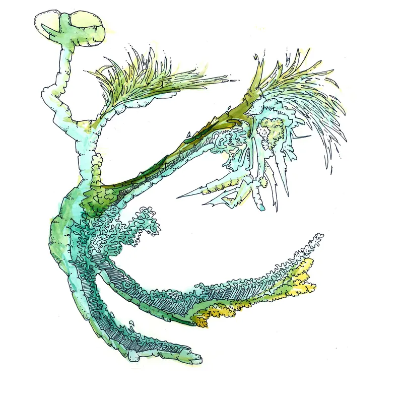 WATERCOLORS_1 — plate 41