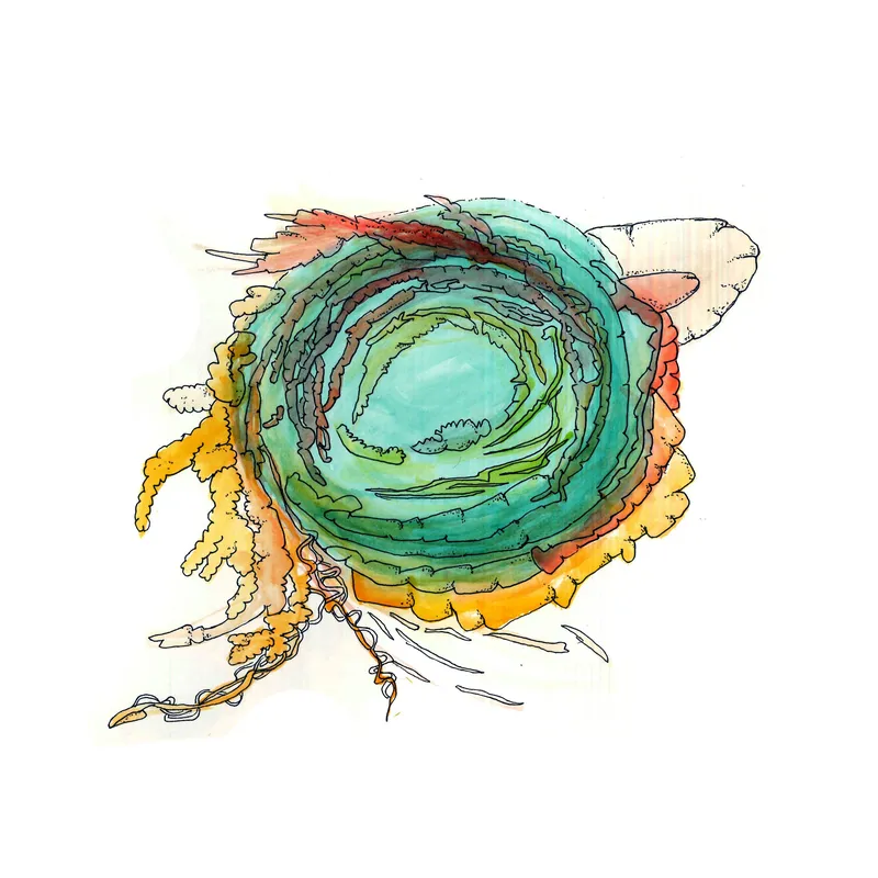 WATERCOLORS_1 — plate 44