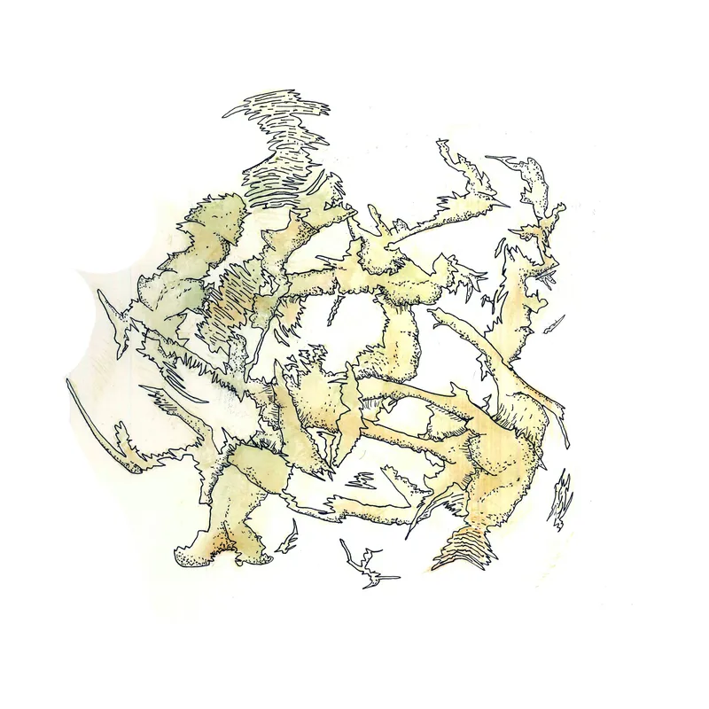 WATERCOLORS_1 — plate 47