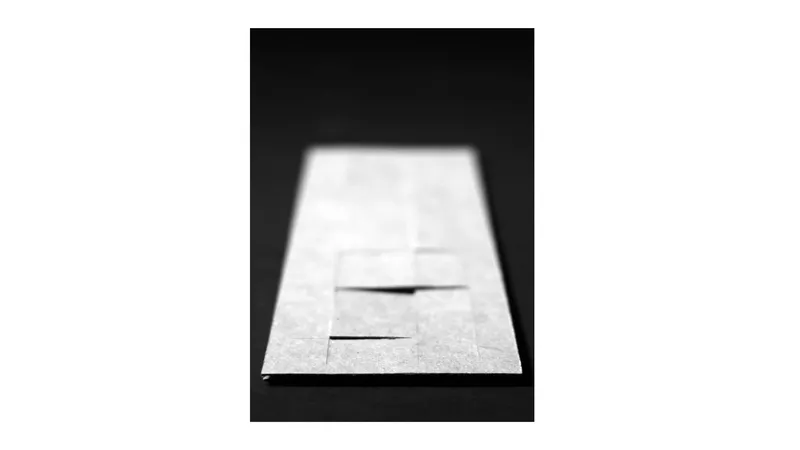 marfa — plate 03