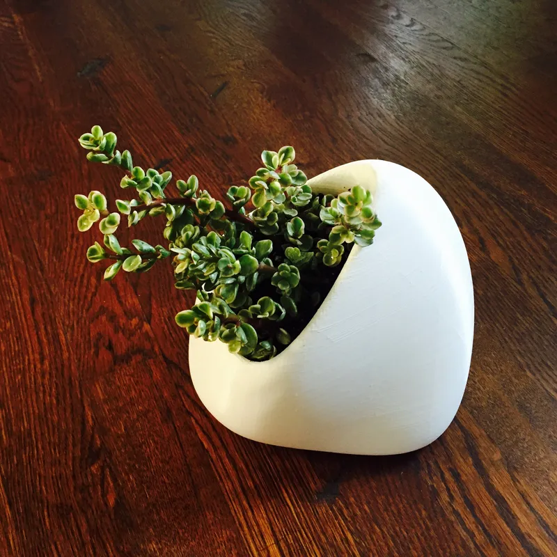 planters — plate 01