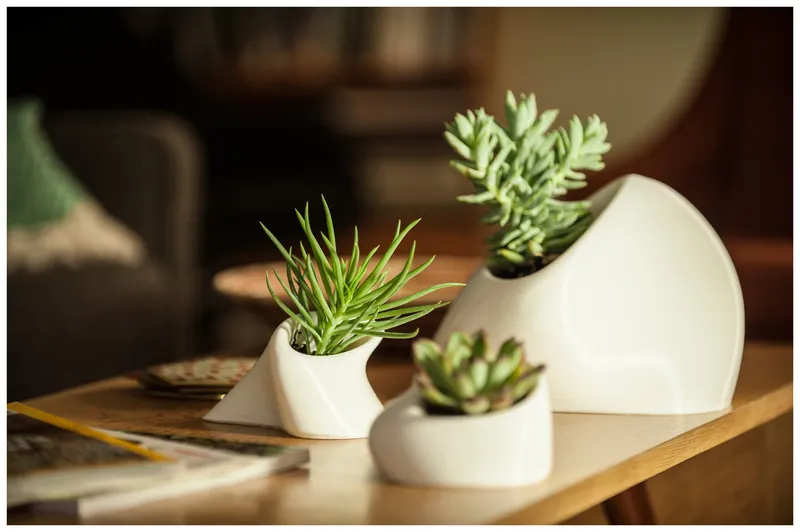 planters — plate 08
