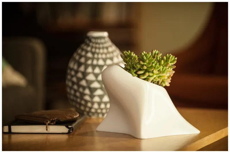 planters — plate 10