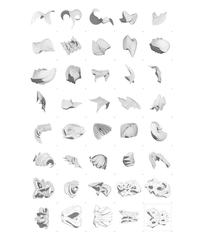 supraficial — plate 02