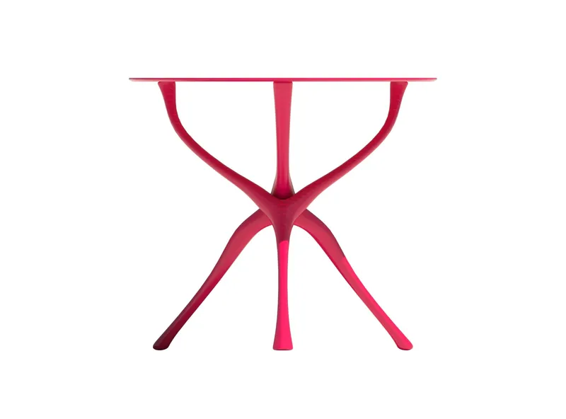 wishbone — plate 02
